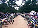 lane of bikes