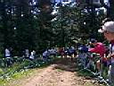 runners at the start