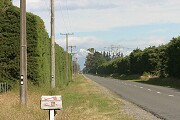 Heading west out of Rolleston towards the Southern Alps. Passing through farmland and it's all very flat.