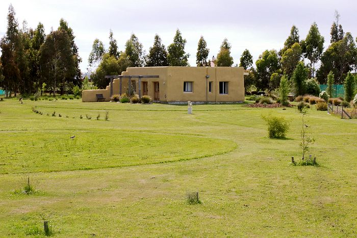 Interesting house outside Kirwee. I turned off to Lake Coleridge at Kirwee and took the even quieter country backroads for a bit.