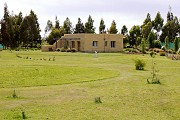 Interesting house outside Kirwee. I turned off to Lake Coleridge at Kirwee and took the even quieter country backroads for a bit.