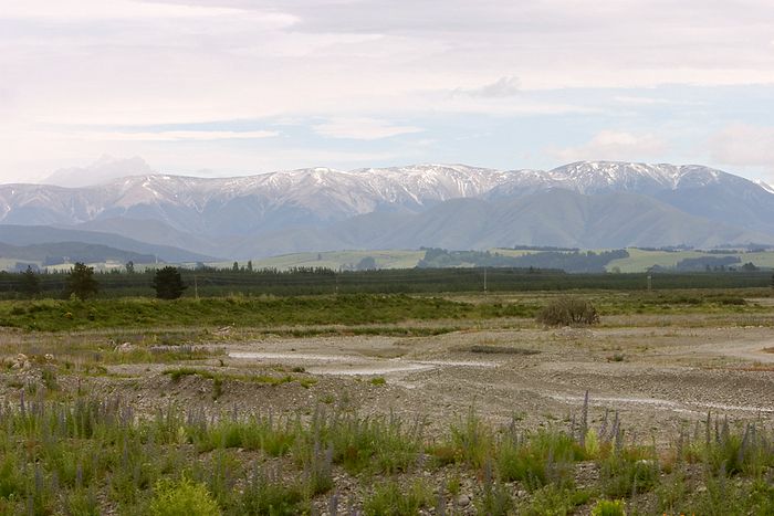 First braided river bank for the trip.