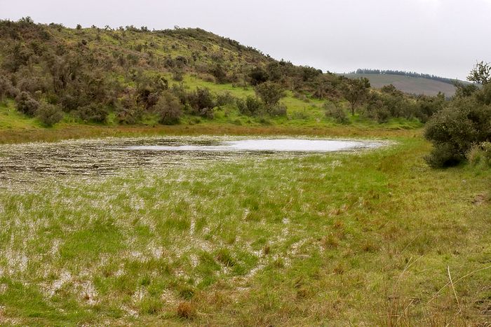A wee tarn by the battery shed.