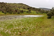 A wee tarn by the battery shed.