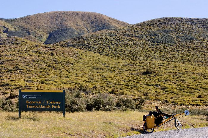See the landscape starting to dry out as I climb, turning to matagouri and tussock. Matagouri is a spiny scrub that's no fun to scramble through, but it does hold the land together. Better than gorse!