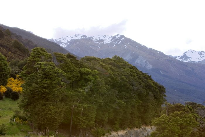 Looking more like the west coast all the time. Wetter, more trees and a bit more rugged.