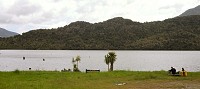 Lunch at Lake Poerua, on the way to Lake Brunner. A small pond with dairy cattle nearby and a very nice place to stop.