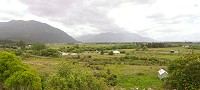 Inland West Coast - lots of dairy, some cattle farming. Anything that can survive the weather, basically.