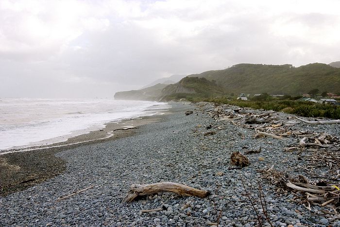 West Coast beach. I like it.