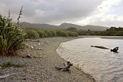 Looking inland along a creek.