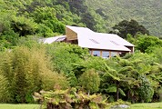 Now that's the sort of place I want to live. Nice house surrounded by rainforest. Pity it's bloody miles from anywhere so it's not too practical for the cyclist types. There's also no broadband internet out this way. But it's still a nice house.