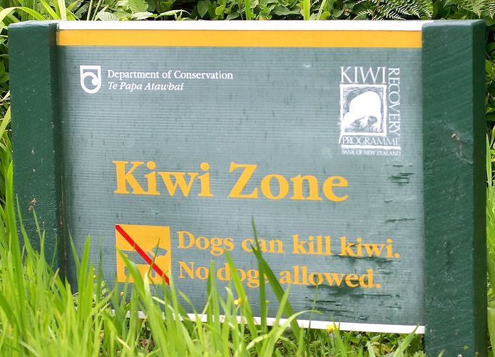 Do *not* take your dog in here. Just don't.