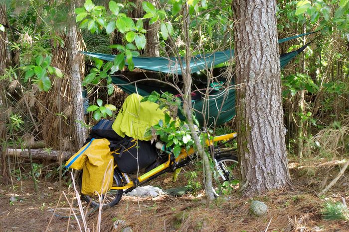 Hammocks are ideal for stealth camping. From the road 5m away this was pretty much invisible.