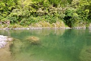 The Buller River just outside Murchison. It's nice to be back after looking at australian rivers for so long. Cold, clean and moving :)
