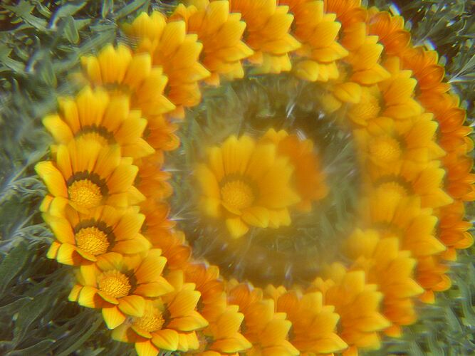 Jan has a silly wee plastic thing with an odd lens inside it. Not actually a kaleidoscope. But photos using the compact digital camera look cool. The small front element means the compact only shows the view thru the lens, where the DSLR shows half the device.