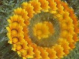 Jan has a silly wee plastic thing with an odd lens inside it. Not actually a kaleidoscope. But photos using the compact digital camera look cool. The small front element means the compact only shows the view thru the lens, where the DSLR shows half the device.