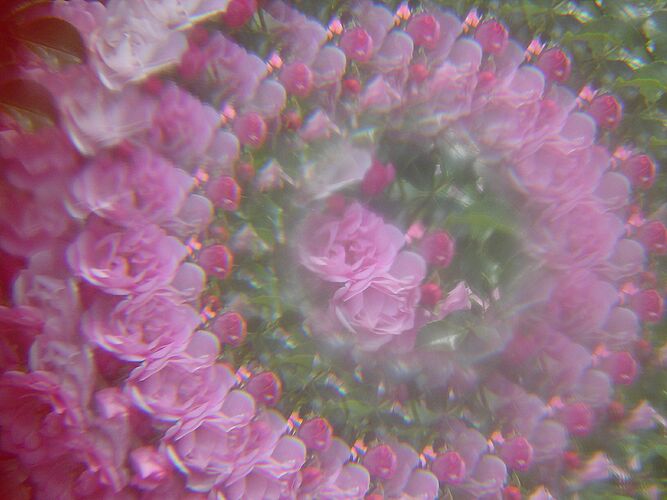 Jan has a silly wee plastic thing with an odd lens inside it. Not actually a kaleidoscope. But photos using the compact digital camera look cool. The small front element means the compact only shows the view thru the lens, where the DSLR shows half the device.