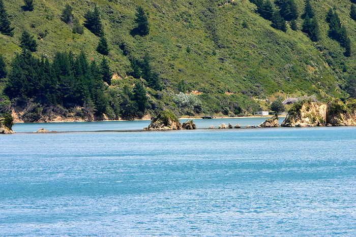 Ferry trip from Picton to Wellington through the Marlborough Sounds and Cook Strait