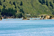 Ferry trip from Picton to Wellington through the Marlborough Sounds and Cook Strait