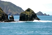 Ferry trip from Picton to Wellington through the Marlborough Sounds and Cook Strait