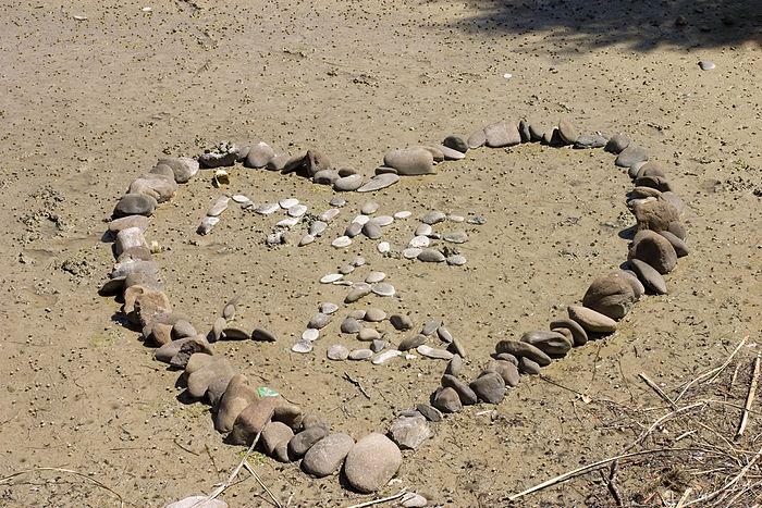 Interesting graffiti on the mud flats outside Motueka