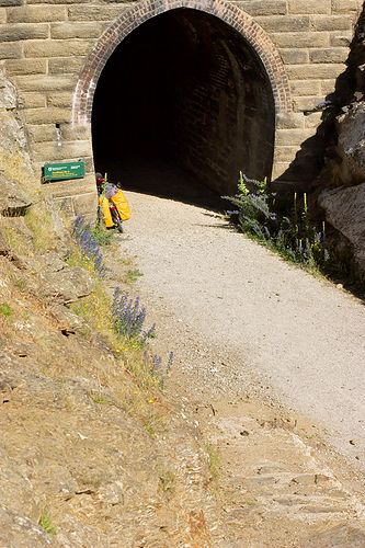 The tunnels are cool. Not least because one of them curves, so you end up riding into actual darkeness. Which is a bit bizarre. I mean "wheeling your bike", yeah. Just like the sign says to.