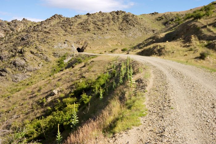 Real Otago - bare, rocky and dry. I know there's lots of bits that aren't like this, but to me this country makes me think I'm really in Otago.