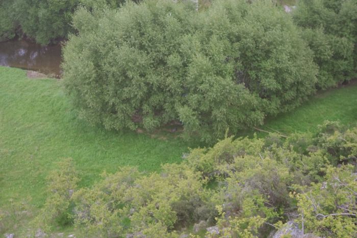 If you look carefully you can see my campsite right in the middle of the frame (shot taken from the viaduct). By purple daypack is on the grass next to the hammock.