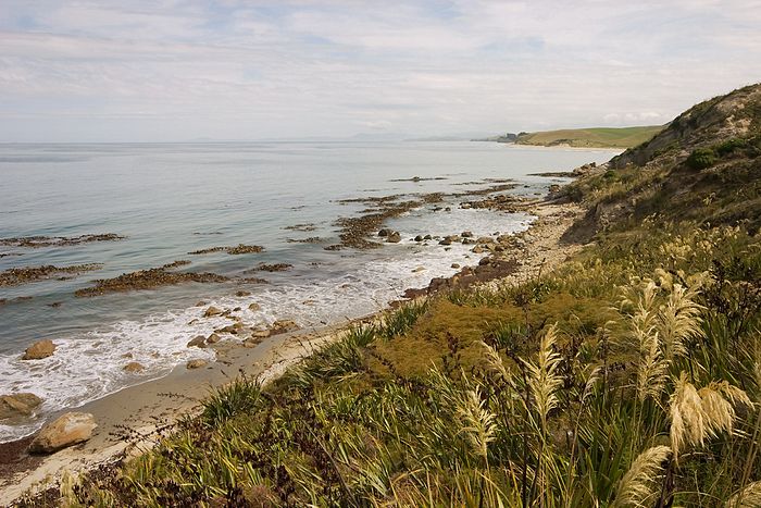 Penguin beach.