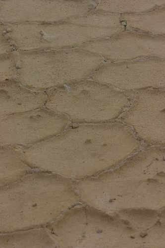 Interesting mudstone.